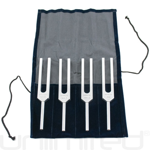 Luminanti DNA Nucleotides Tuning Fork Set (Unweighted)