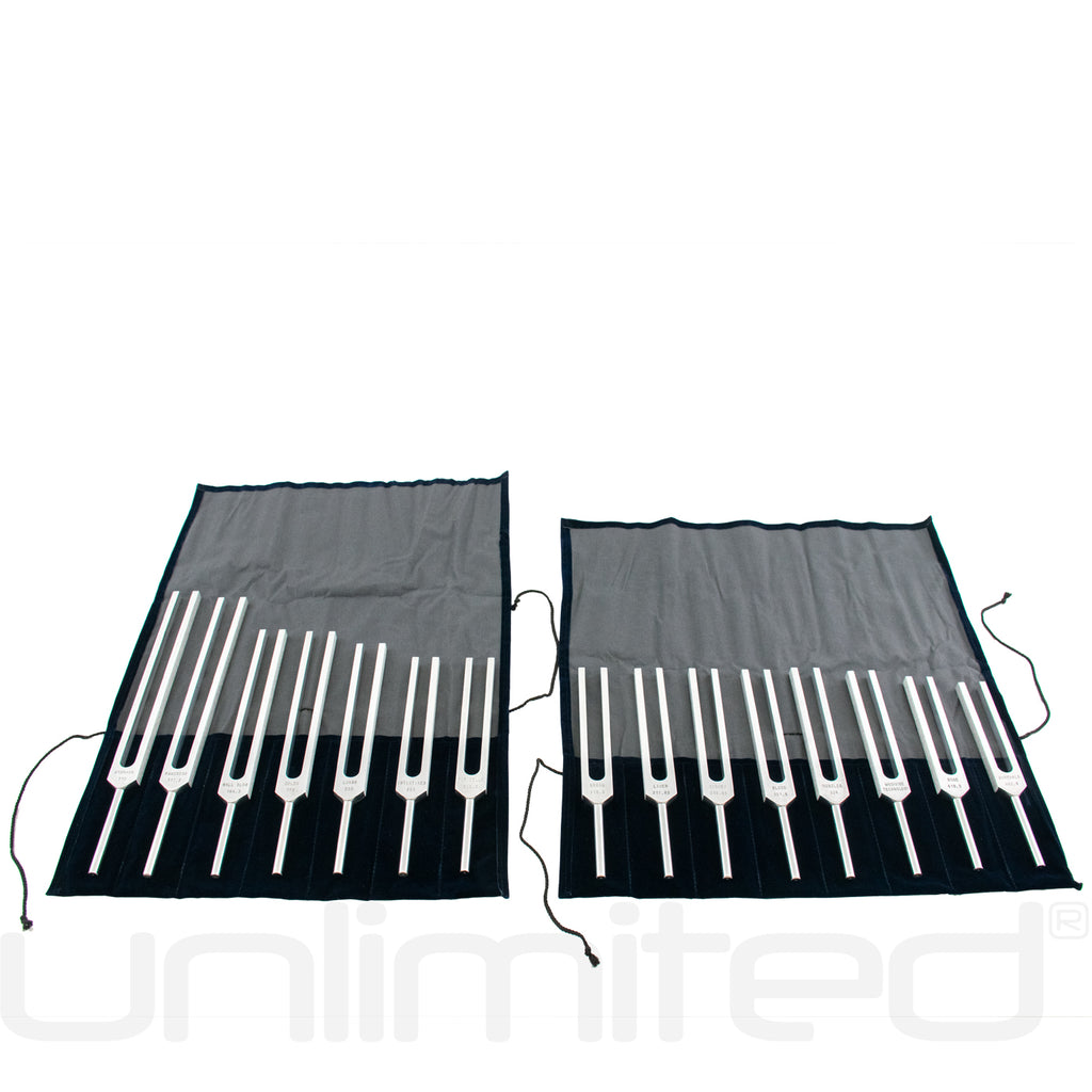 Luminanti Human Organs Tuning Fork Set (Unweighted)