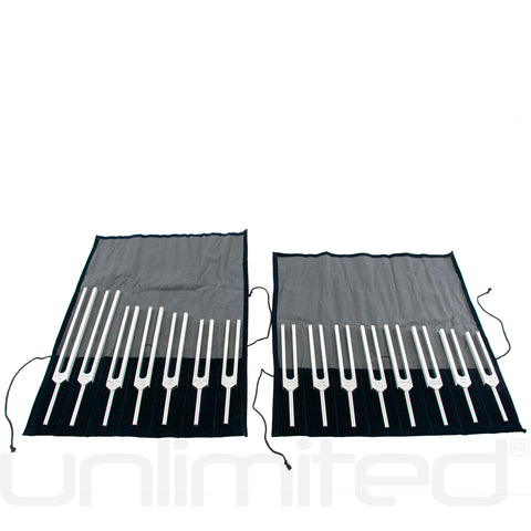 Luminanti Human Organs Tuning Fork Set (Unweighted)
