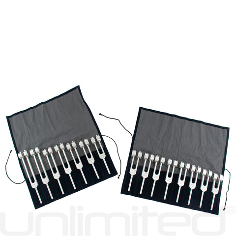 Luminanti Human Organs Tuning Fork Set (Weighted)